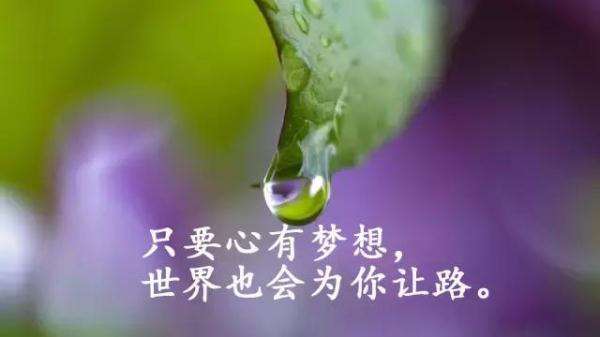 财务部部长刘昆出席G20国际税收论坛