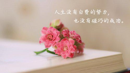 财务部公布购买税最新动静 增强车辆购买税收入办理